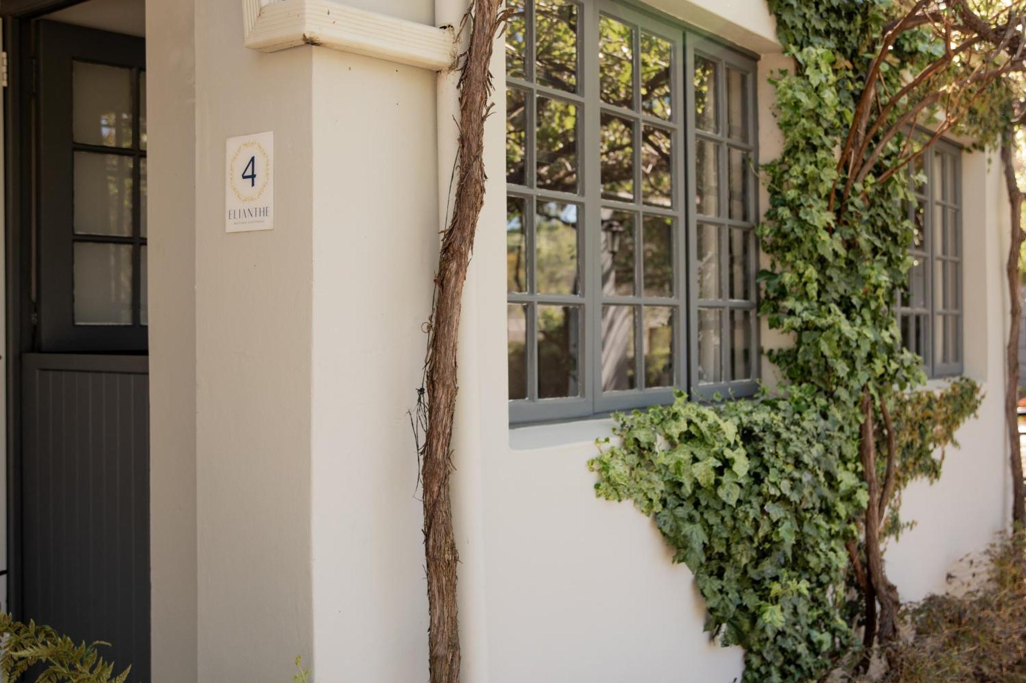 Elianthe Guesthouse Swellendam Exterior photo